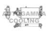 AUTOGAMMA 104359 Radiator, engine cooling